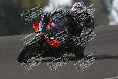 media/Nov-02-2025-Lets Ride (Sun) [[f7a3caa734]]/A Group/11am (Turn 2 Inside)/